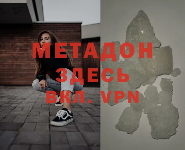 индика Вяземский