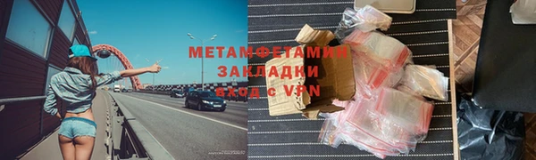 индика Вяземский