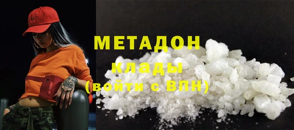 индика Вяземский