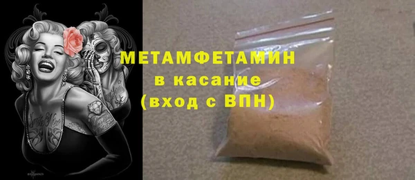 индика Вяземский