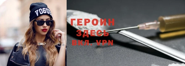 индика Вяземский
