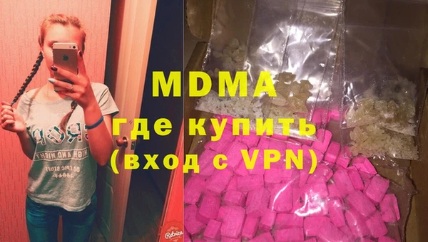 индика Вяземский