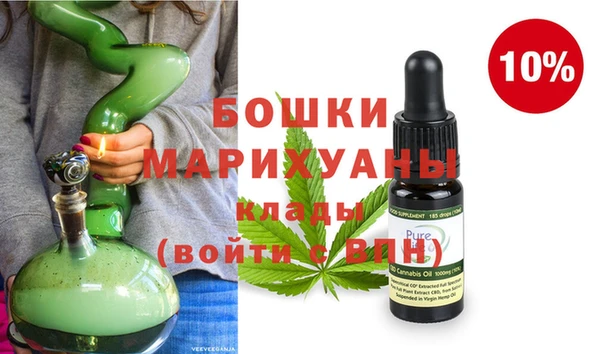 индика Вяземский
