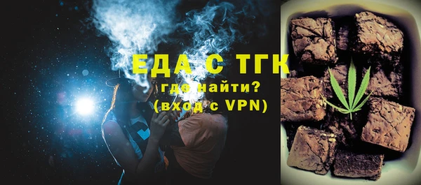 индика Вяземский