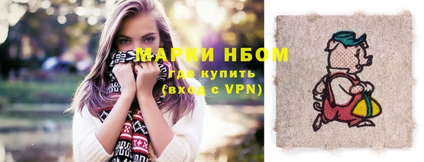 индика Вяземский
