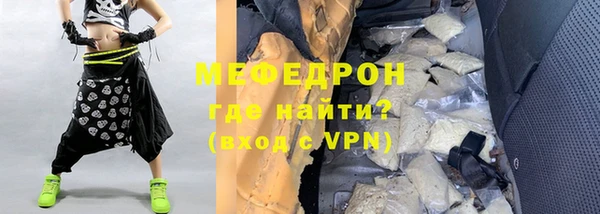 индика Вяземский