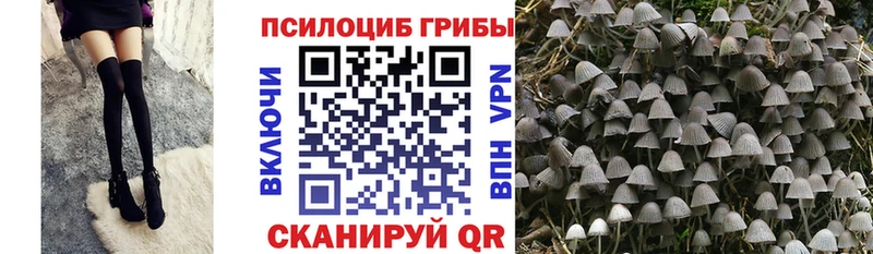 Галлюциногенные грибы прущие грибы  omg ссылки  Таганрог 
