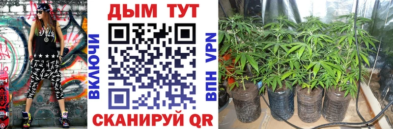 Конопля тримм  купить наркотики цена  мега как войти  Таганрог 